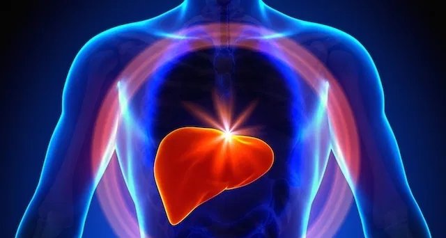 Hepatite C: entenda sintomas, formas de contágio, diagnóstico e tratamento - Imagem do artigo