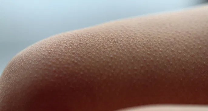 Calafrios: conheça sete motivos comuns e saiba quando buscar ajuda médica - Imagem do artigo