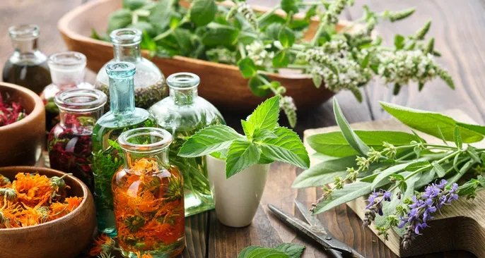 Chás e sucos são aliados no alívio da gastrite, aponta guia atualizado - Imagem do artigo