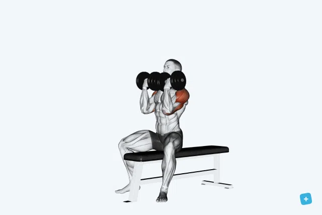 Treino completo de ombro: 10 exercícios essenciais e como executá-los - Imagem do artigo