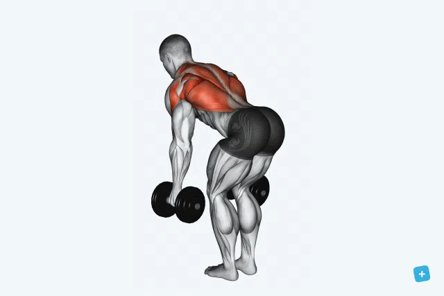 Seis exercícios com halteres compõem treino completo para fortalecer todo o corpo - Imagem do artigo