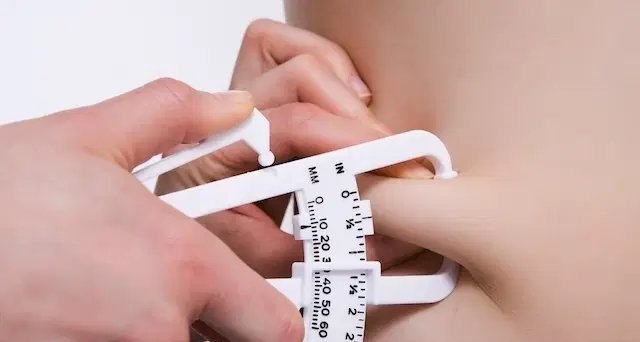 Percentual de gordura corporal: faixas ideais, formas de cálculo e orientações para redução - Imagem do artigo