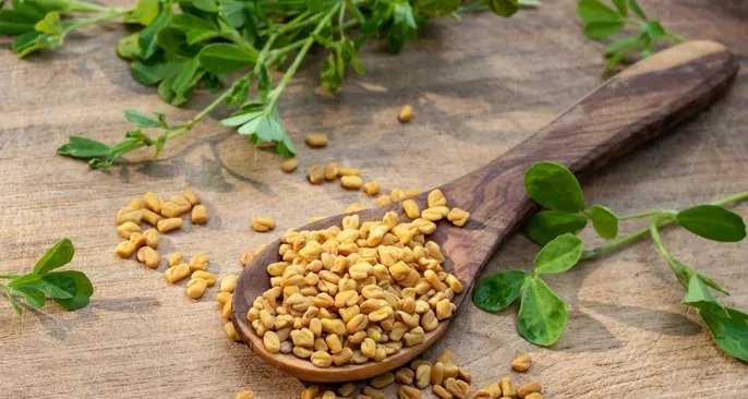 Feno-grego é aliado natural contra diabetes, cólicas e colesterol alto - Imagem do artigo