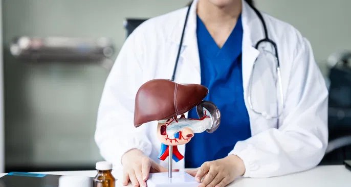 Conheça os 11 tipos de hepatite, principais sintomas, formas de transmissão e cuidados recomendados - Imagem do artigo