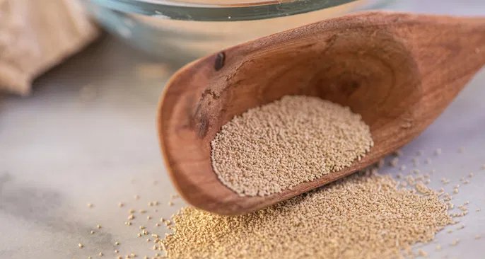 Levedura de cerveja reúne vitaminas do complexo B, minerais e probióticos em um único suplemento - Imagem do artigo