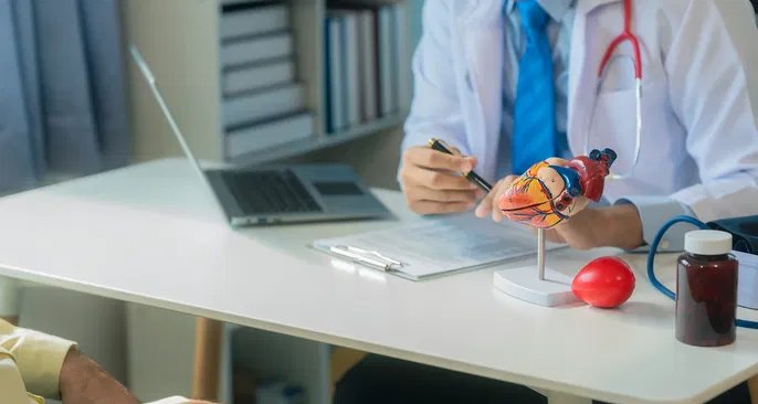 Colesterol LDL: quando é considerado alto e quais medidas ajudam a controlar - Imagem do artigo