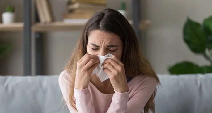 Alergia à poeira provoca espirros, coceira e pode ser controlada com limpeza e tratamento médico - Imagem do artigo