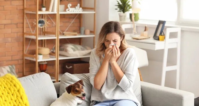 Alergia: reação imunológica pode variar de irritações leves a risco de vida - Imagem do artigo