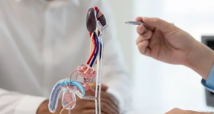 Infertilidade masculina: veja causas, sintomas, diagnóstico e opções de tratamento - Imagem do artigo